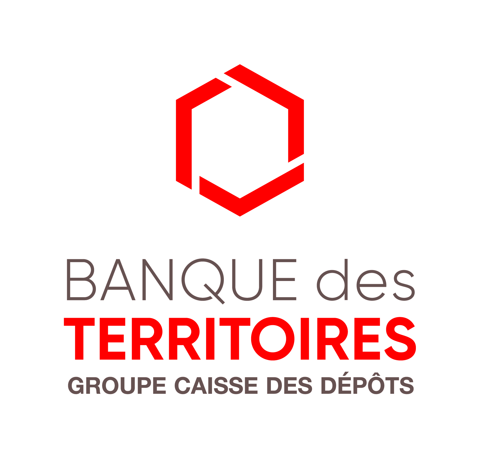 Logo Dev ID Black
